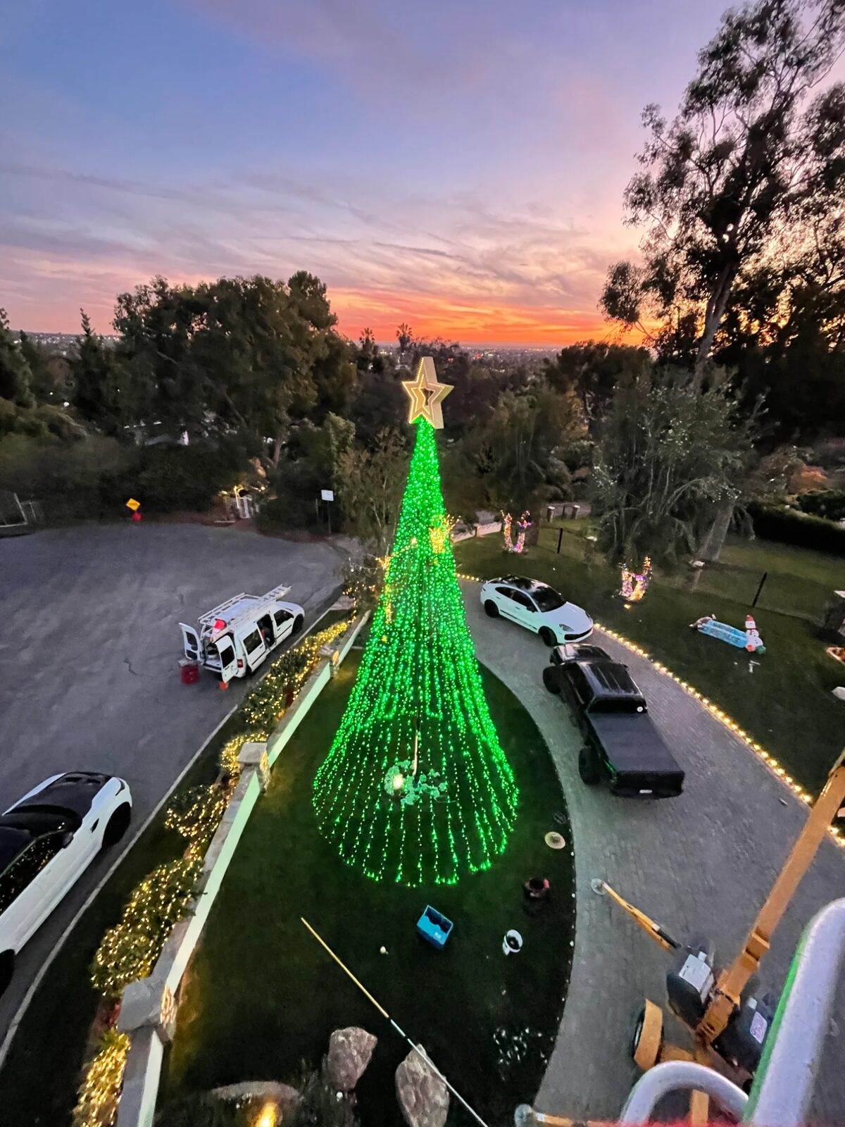 Mega Trees