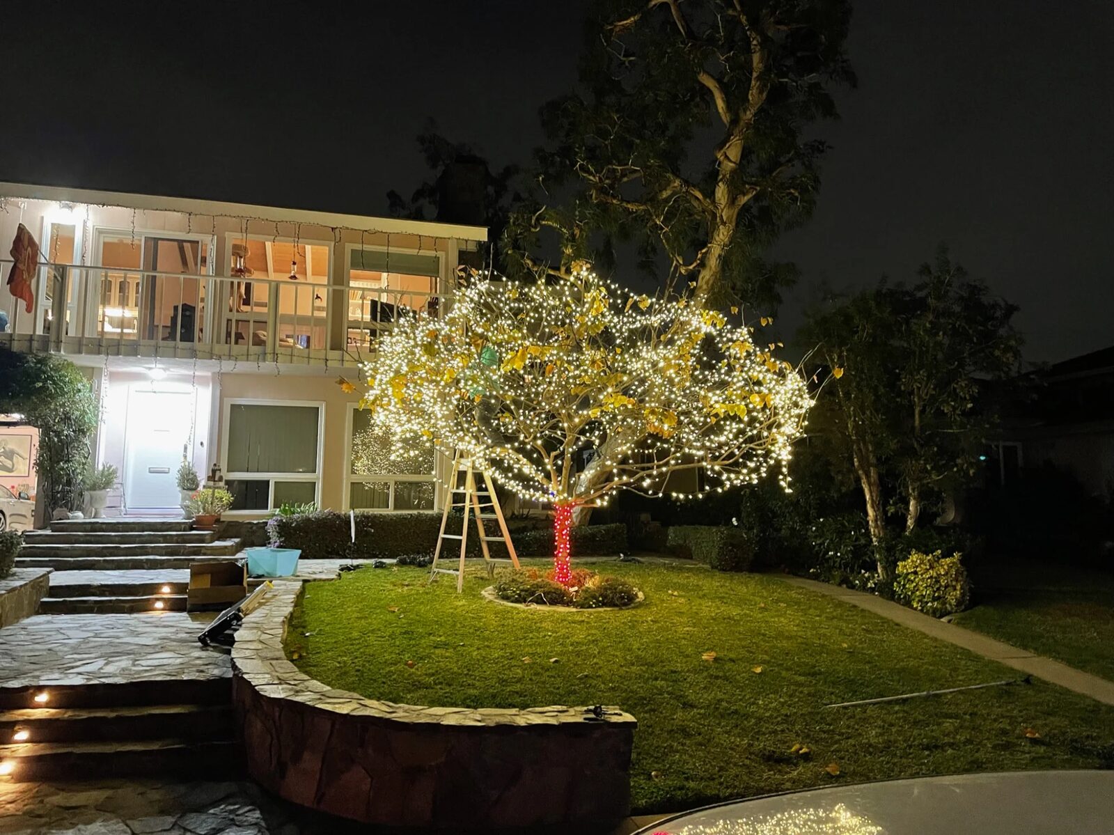 Waterfront backyard with a tree wrapped in warm white lights
