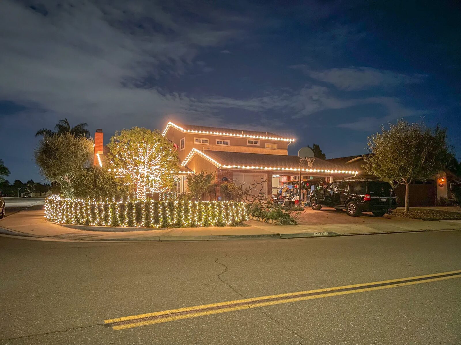 Hedge and bush lighting
