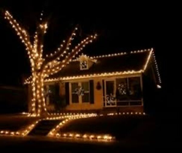 Cottage with wrapped tree