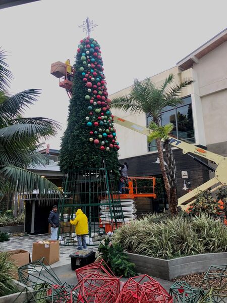 C9 wrapped trees