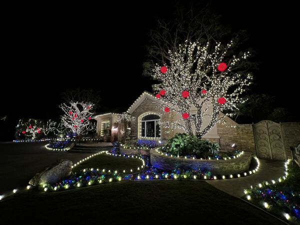 Estate with wrapped oak trees