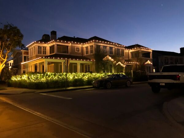 Large house hedges