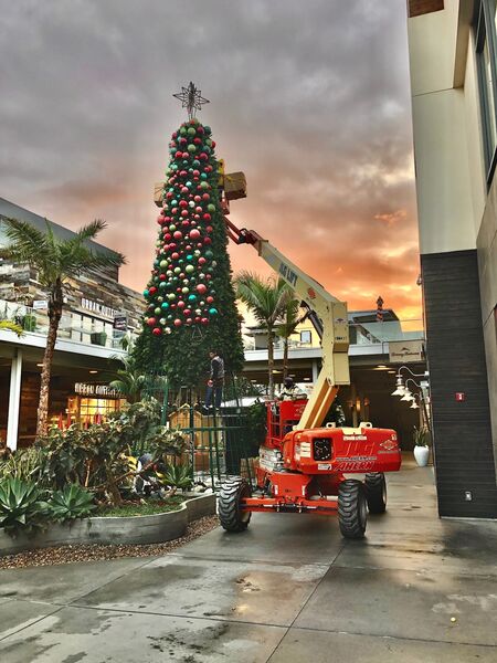 Mall tree crane