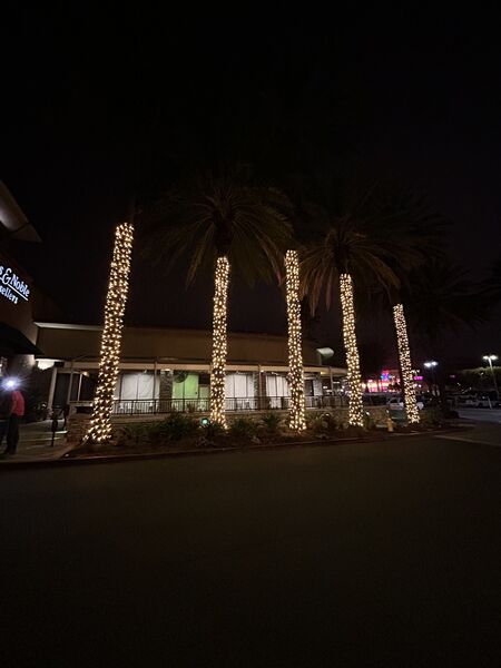 Mall tree install