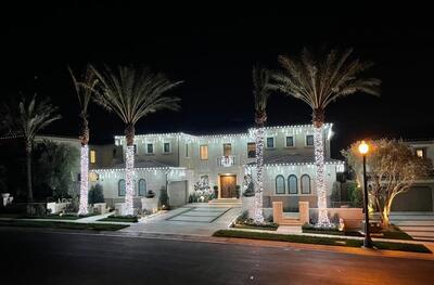 Mansion with palm trees