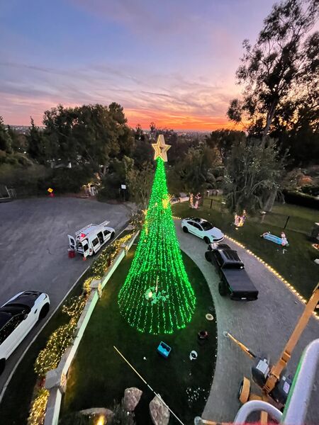 Mega tree aerial