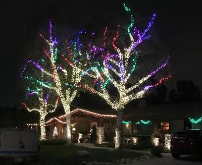 RGB trees