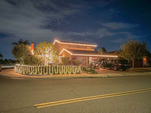 Suburban hedges