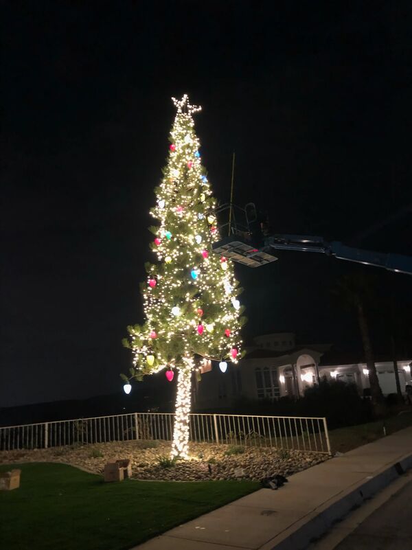 Tall tree crane