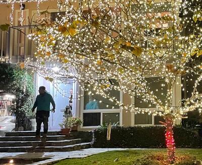Wrapped tree install