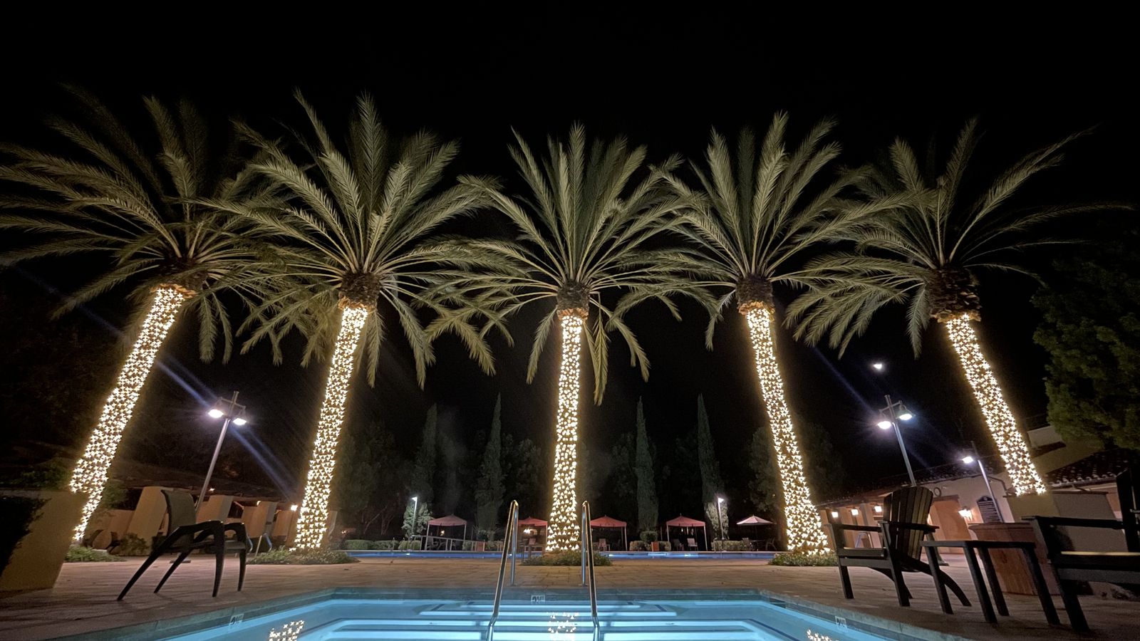 Row of palm trees wrapped in warm white lights beside a resort pool at night